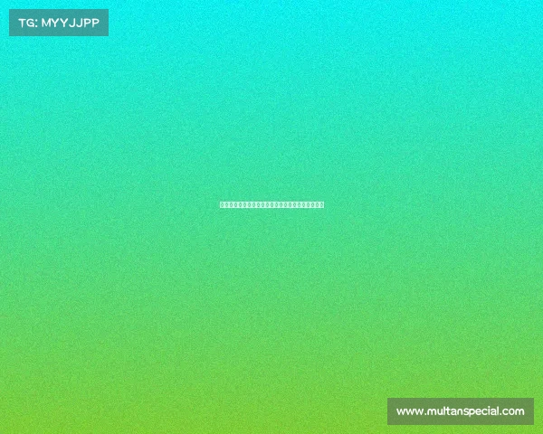 网球赛事奖金分配机制解析及各大赛事奖金对比分析