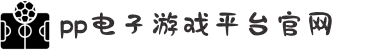 PP电子·「中国」官方网站